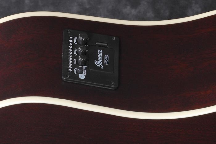 Ibanez AEQ-TP2 preamp w/Onboard tuner