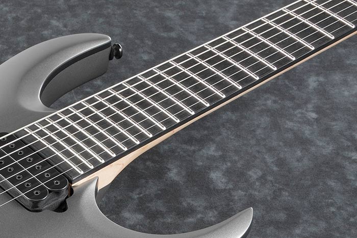 Ebony fretboard