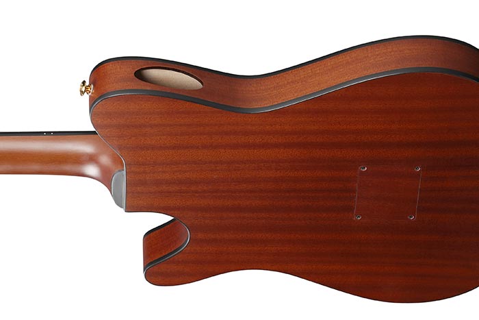 Back of the FRH10N-BSF's body