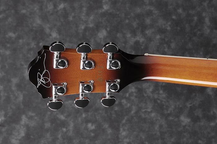 Back of the JSA20-VB's headstock