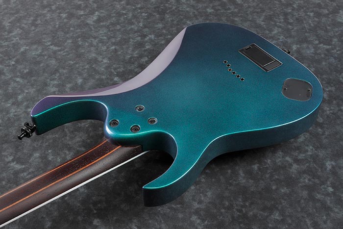 Back of the RG631ALF-BCM's body
