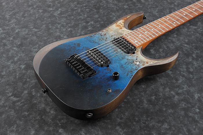 Top of the RGD7521PB-DSF's body