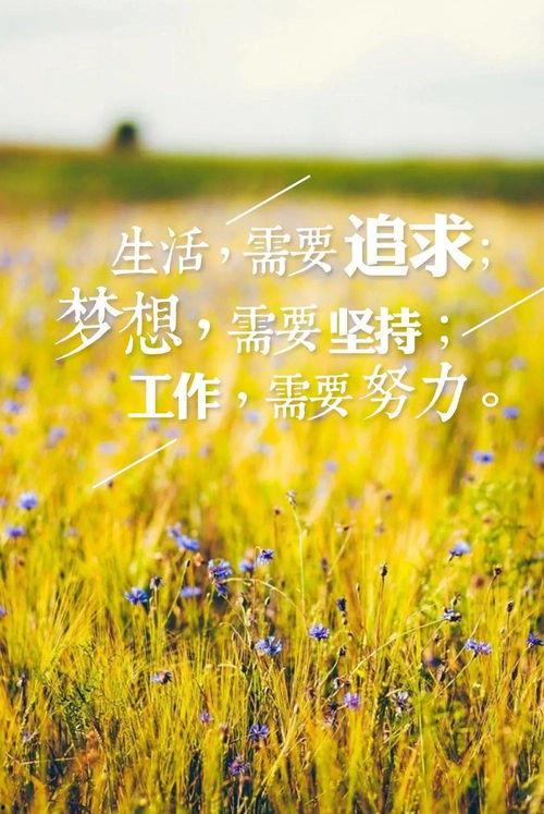 今日吃瓜爆料正能量图片高清,高清美图传递美好瞬间
