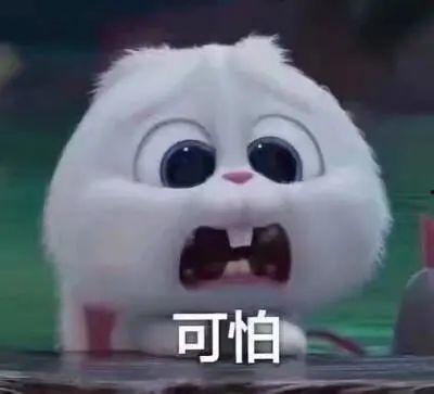 临海今日吃瓜事件真相视频,真相视频曝光背后的真相