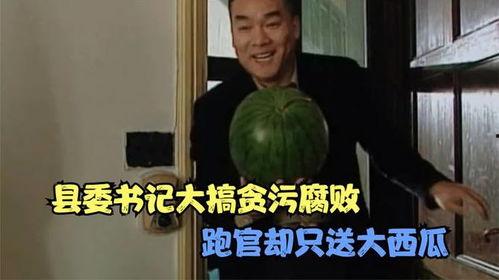 今日吃瓜沈樵是真的吗,今日吃瓜事件背后的真相
